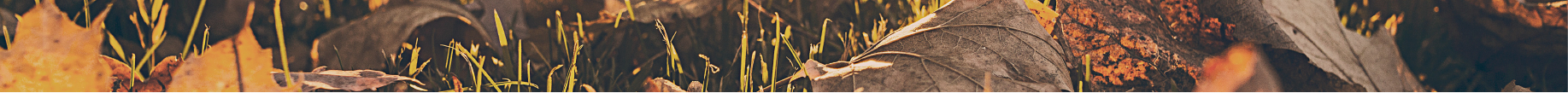 Water-banner